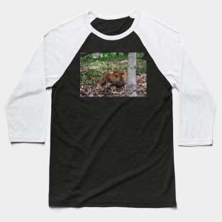 Bison Calf Baseball T-Shirt